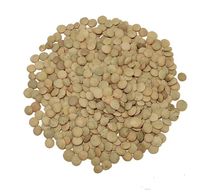 Lentejas Castellanas, 1Kg